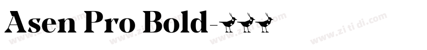 Asen Pro Bold字体转换